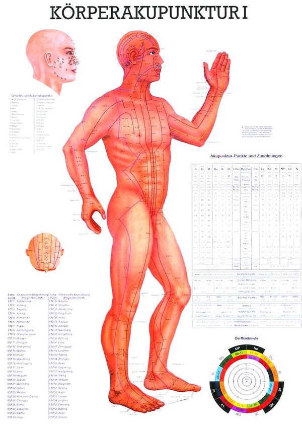 Tafel Körperakupunktur I von Rüdiger