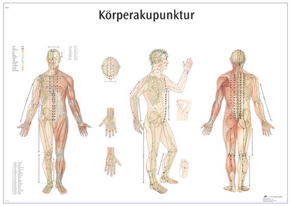 Tafel Körperakupunktur im Querformat