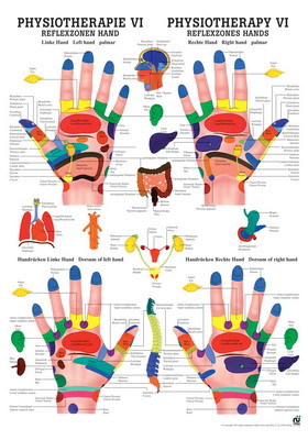 Mini-Poster: Physiotherapie VI - Reflexzonen Hand